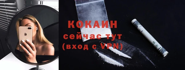крисы Гусев