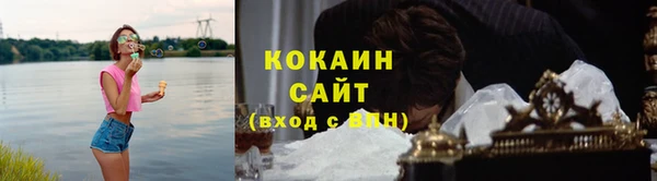 крисы Гусев