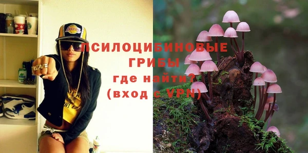 МДМА Гусиноозёрск